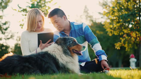 couple using a tablet with dog nearby