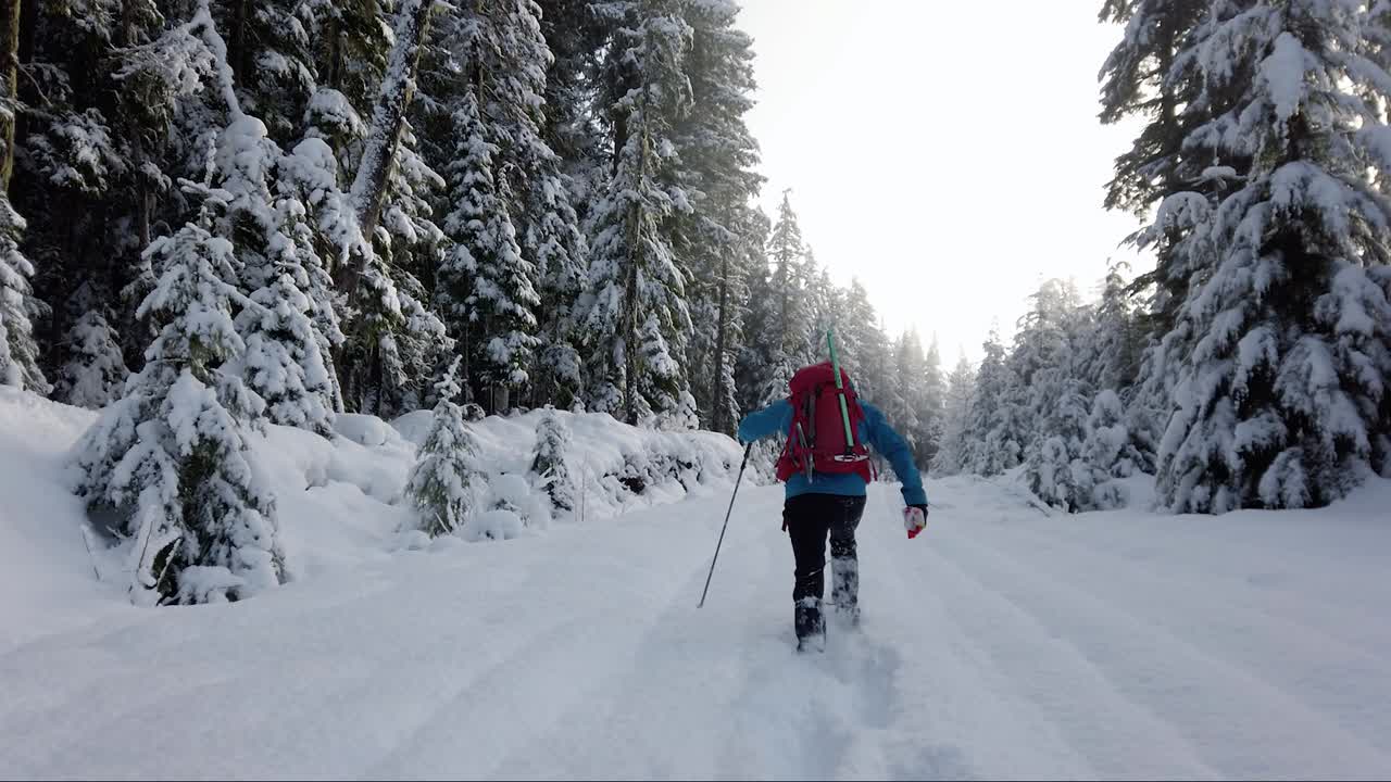 hombre con raquetas de nieve en el monte porter, isla de vancouver, canadá