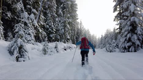 Man-Snowshoeing-on-Mount-Porter,-Vancouver-Island,-Canada