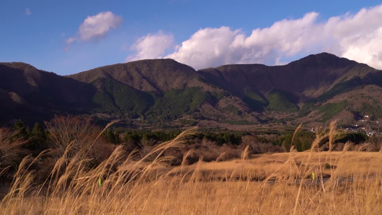일본 하코네의 유명한 센고쿠하라 풀밭의 아름다운 풍경