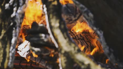 Afternoon-standing-and-closer-footage-from-a-wood-pile-which-is-burning-deeply-and-smokes-a-bit