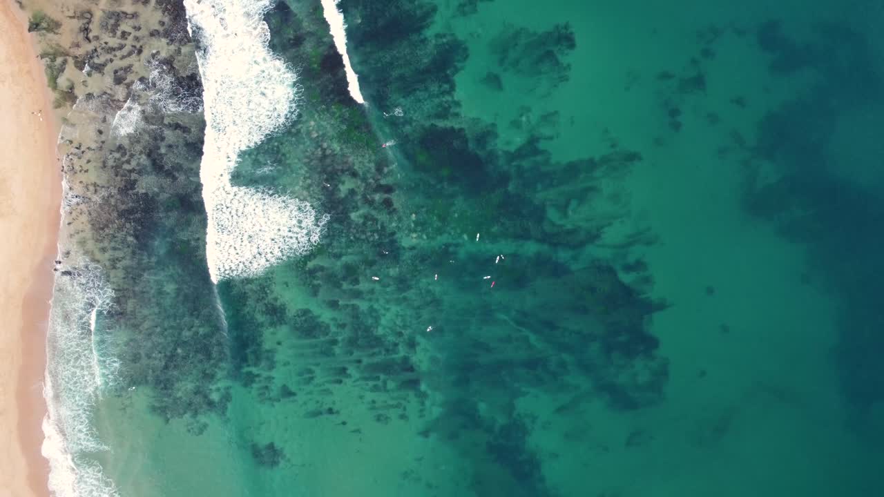 Drone aerial shot view of Shelly Beach clear reef with surfers sand and waves Central Coast NSW Australia 4K