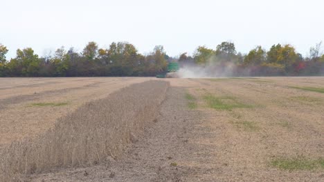 wide shot of a combine harvester harvesting soybean in the distance