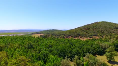 toma aérea del bosque de el kala argelia