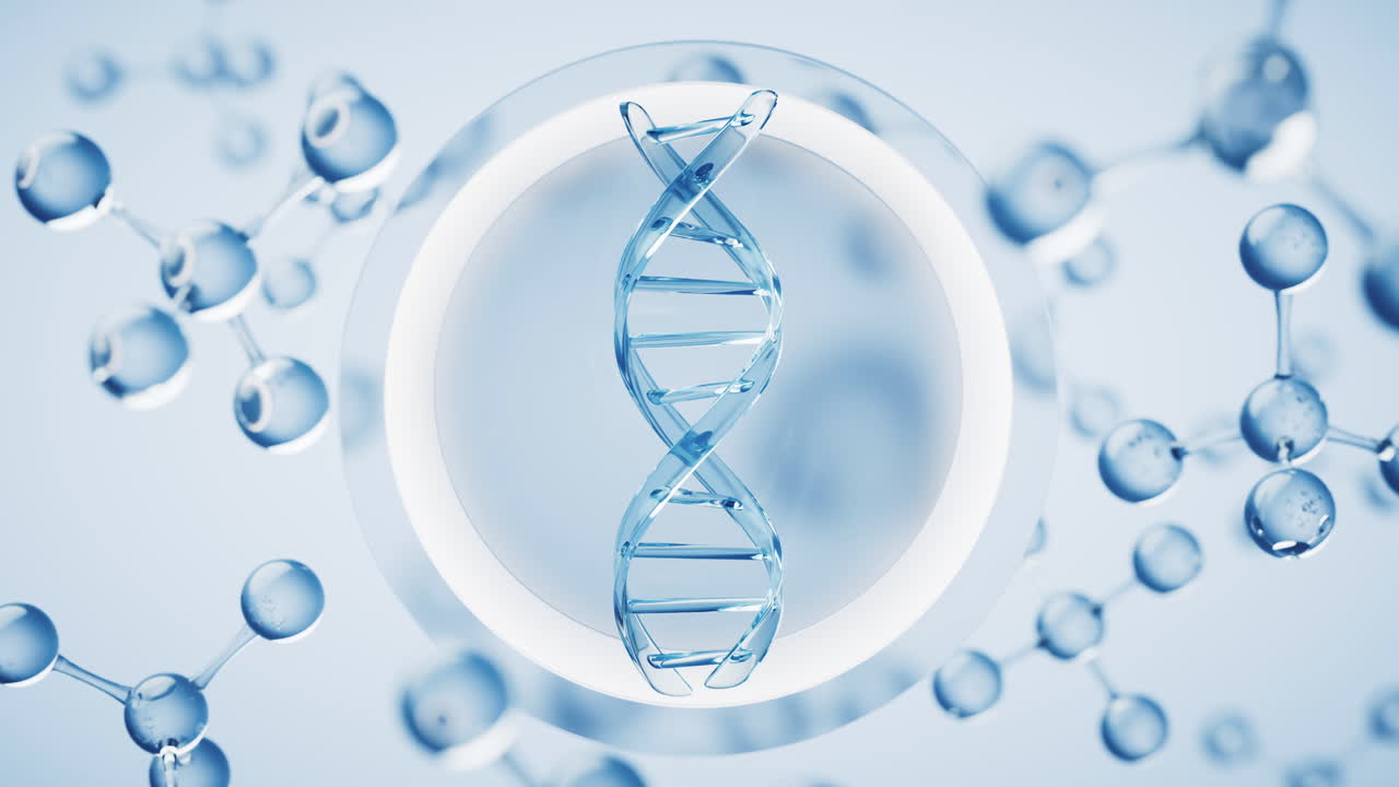 dna와 생물학 개념, 3d 렌더링