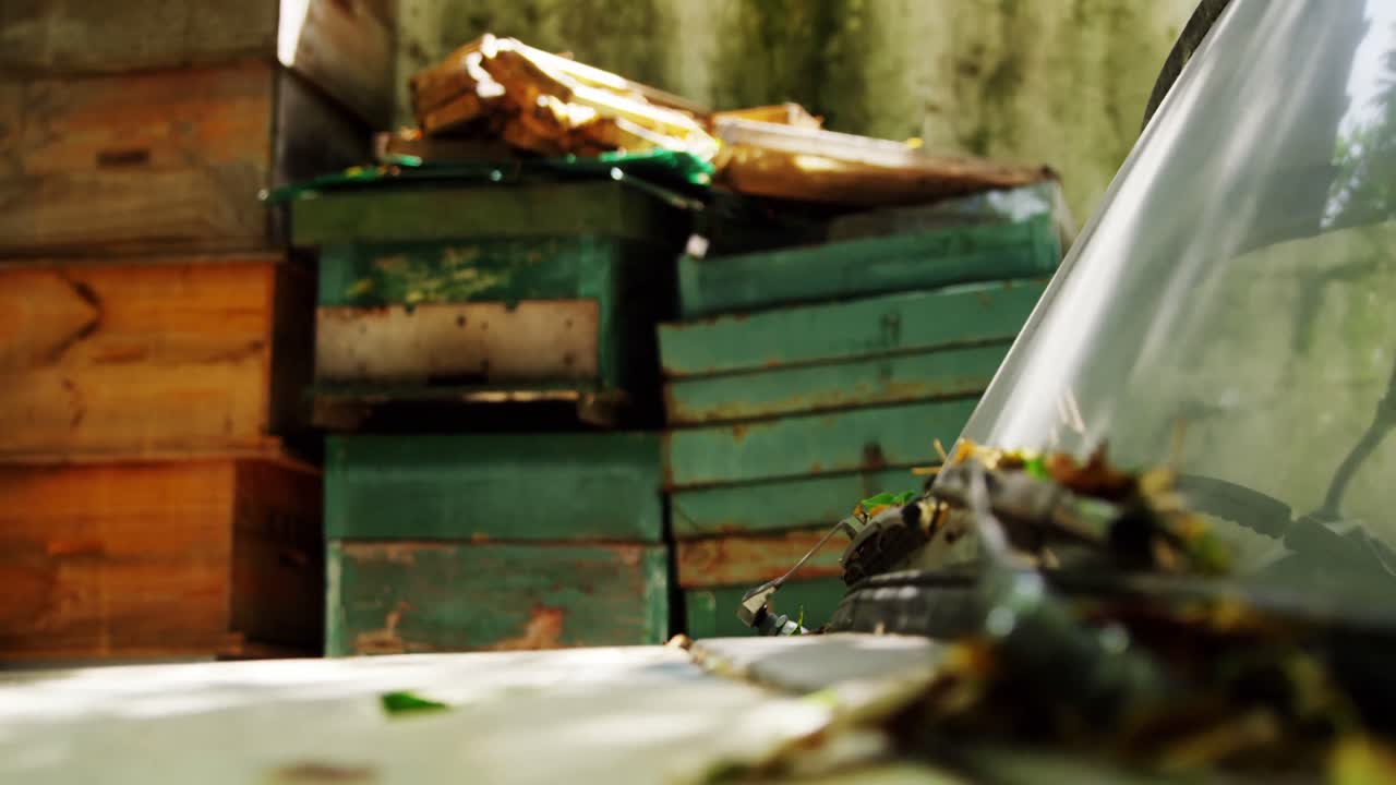 벌집 과  ⁇ 은 픽업 트럭 이 벌집 에서