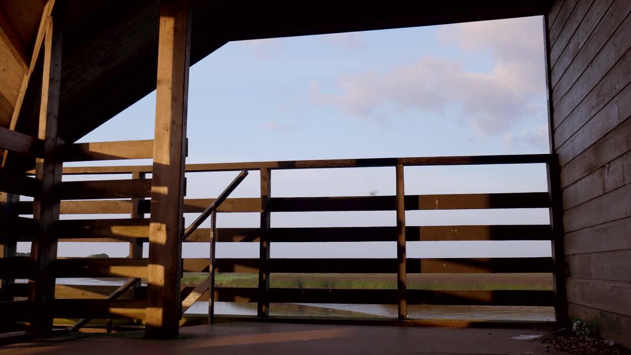 Nature View from a Bird Hide with Flying Birds