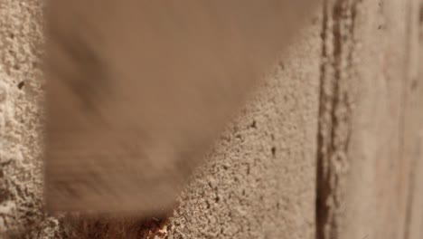 a screwdriver is scraping a mud tunnel created by termites scraping it to reveal a colony in the walls of a garage in a home shot on a super macro lens almost national geographic style