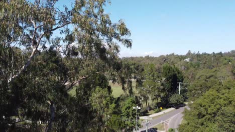 Aufsteigende-Drohne-Zeigt-Einen-Großen-Baum-Und-Einen-Kreisverkehr-Mit-Wenig-Verkehr-Und-Ein-Country-Showgrounds-In-Australien