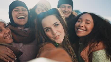 selfie, group of happy friends