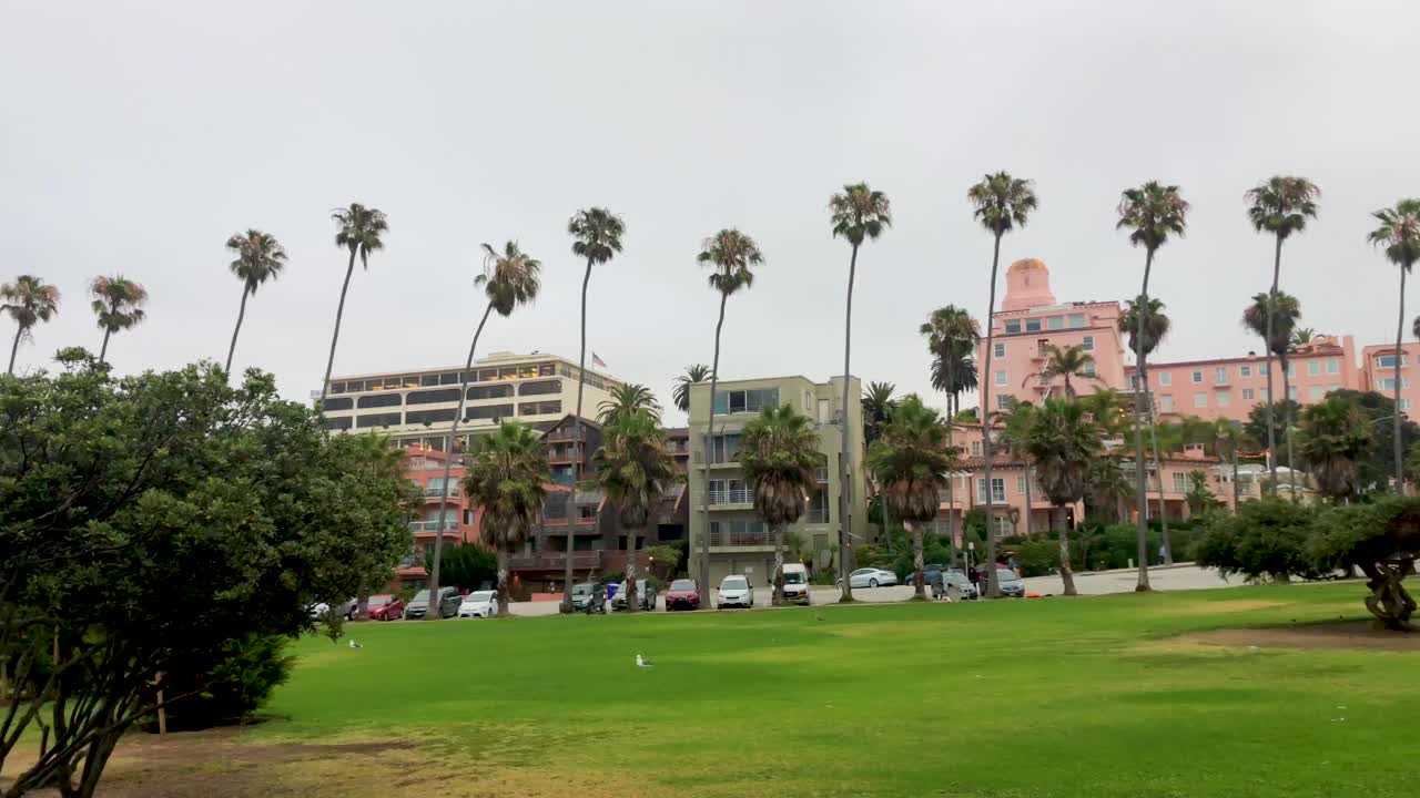 Beautiful Park with Palm Trees and Pink Hotel in the Background