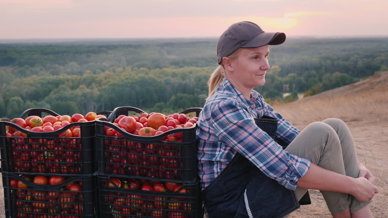 un joven agricultor se sienta cerca de los tomates recolectados en cajas que descansan en un lugar pintoresco