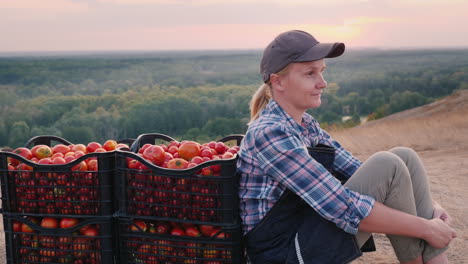 a young farmer sits near the tomatoes collected in boxes resting in a picturesque place