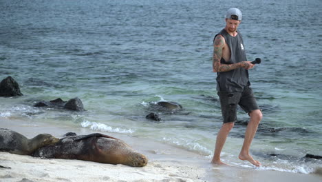 Männlicher-Tourist,-Der-An-Galapagos-seelöwen-Vorbeigeht,-Auf-Dem-Strand-Von-Playa-Punta-Auf-Der-Insel-San-Cristobal,-Der-Ton-Auf-Einem-Handheld-audiogerät-Aufzeichnet