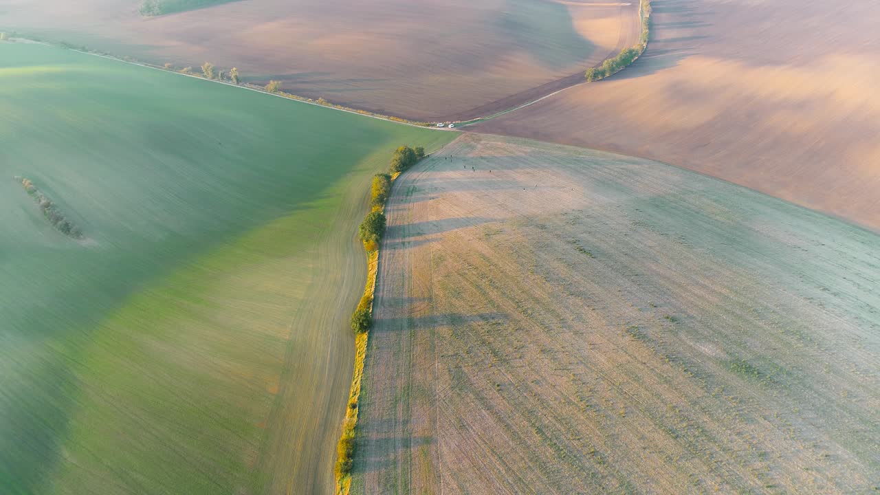 농경지 의 공중 사진