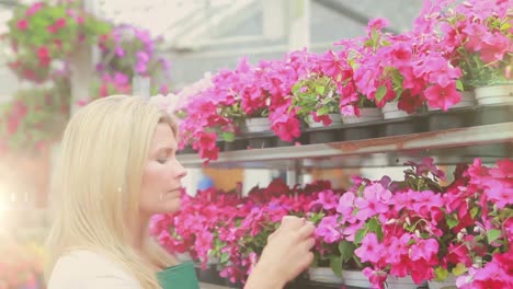 Animation-of-light-spots-over-caucasian-female-worker-inspecting-flowers