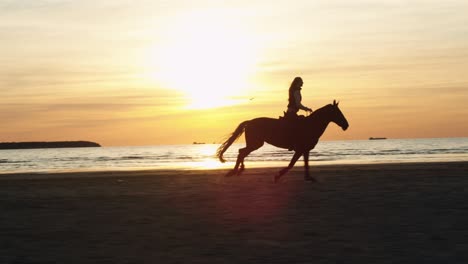 silueta de una mujer montando un caballo a lo largo de la costa de la playa