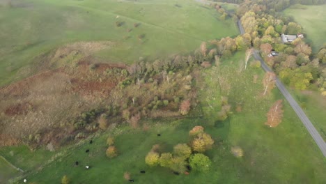 aerial view of the beautiful green hills with cows in odsherred, denmark