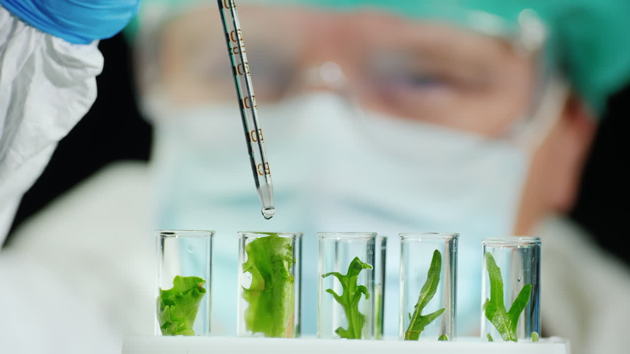 científico realiza investigaciones con plantas en el laboratorio 1