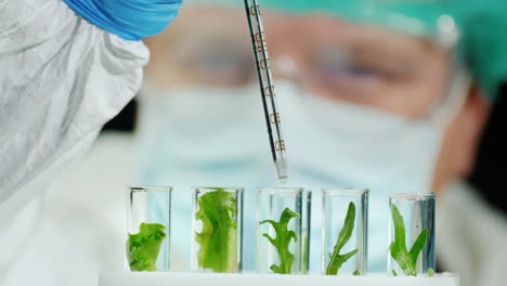 Scientist-conducts-research-with-plants-in-lab-1