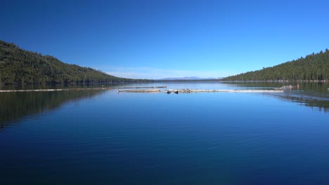 Calm-and-peaceful-lake,-forest,-nature-background