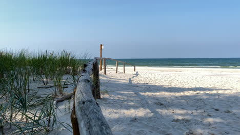 dried wooden fence at white sand beachfront