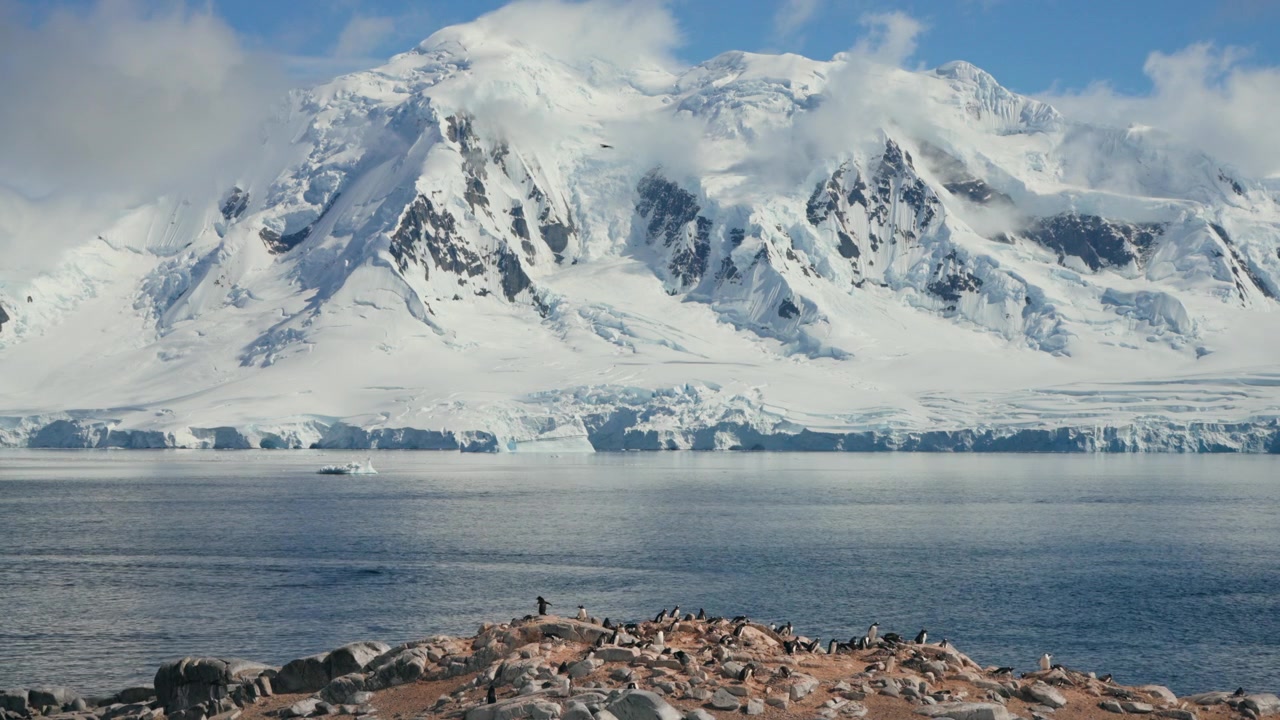 Elevated wide view shows penguin colony nesting on rocky shore beneath towering cloud wrapped mountains