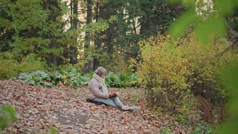 woman sits on forest ground covered in dry autumn leaves, flipping through book behind foreground of blurry green leaves, bathed in soft sunset light and surrounded by yellow foliage