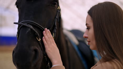 woman and horse