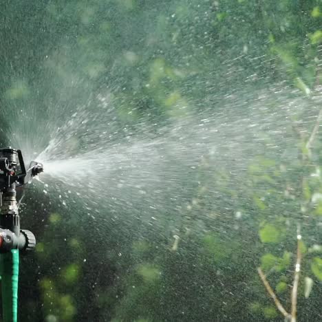 automatic sprinkler system watering the lawn