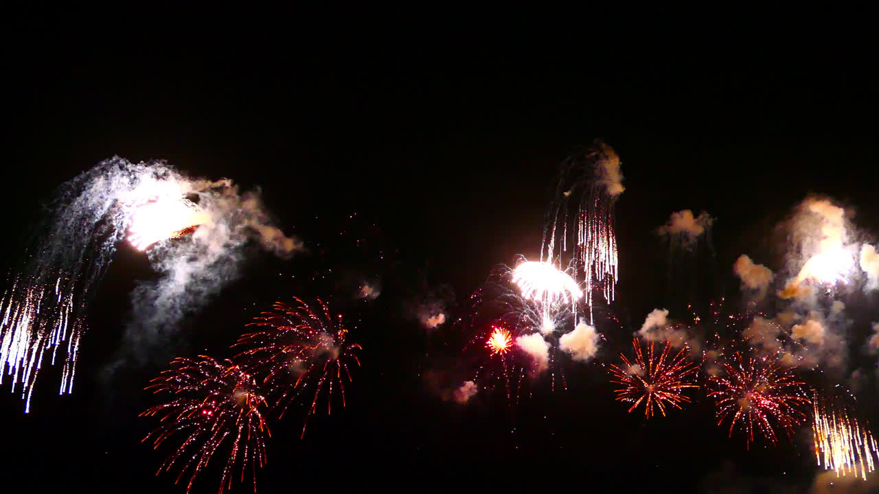 hermosa celebración abstracto colorido espectáculo de fuegos artificiales en el fondo de la noche