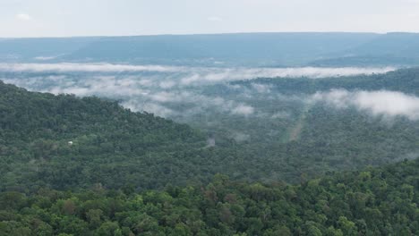 Layers-of-mist-floating-through-the-lush-landscape,-Misiones,-Argentina