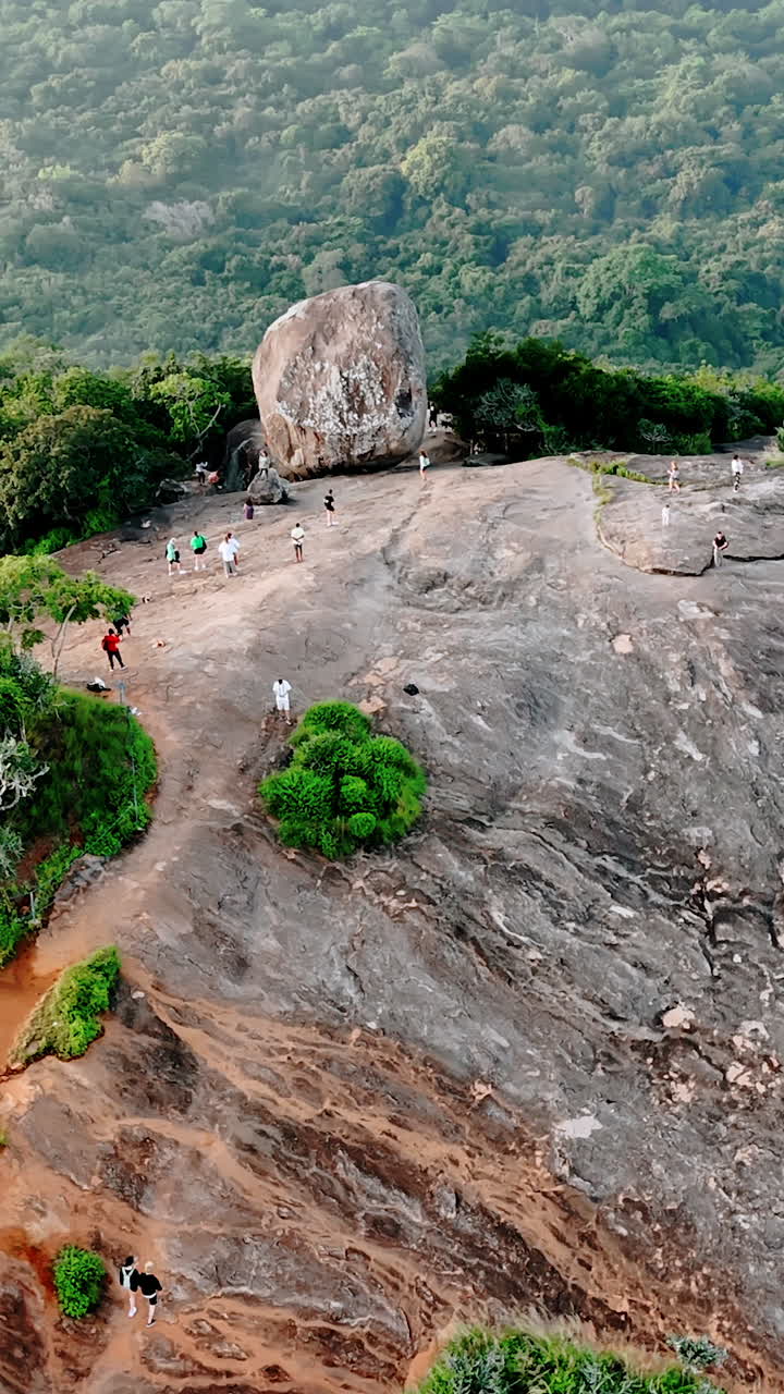 Approaching the mountain where tourists walk. Lush greenery around the rock at backdrop. Sri Lanka landmark. Vertical video.