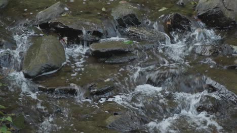 Agua-Que-Fluye-A-Través-De-Grandes-Piedras,-Wissahickon-Creek,-Filadelfia