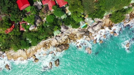 red roof bungalows hidden between palms on the edge of the cliff of a tropical island