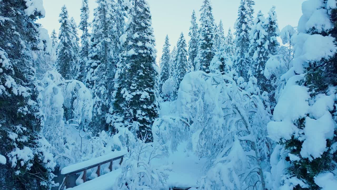 Paksuun lumeen peittynyt metsä talvella Norjassa - Dronekuva