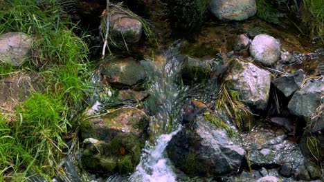 tiny waterfall