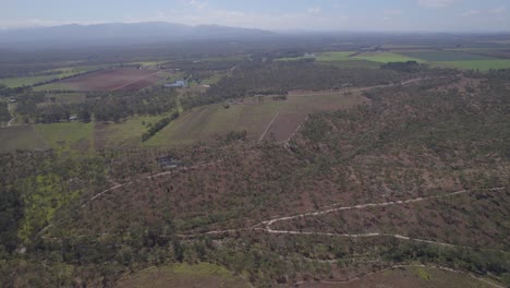 Weite-Ländliche-Landschaft-Mit-Bäumen,-Die-In-Der-Arriga-stadt,-Nord-queensland,-Australien-Wachsen