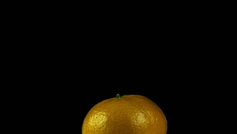 dolly shot of revolving clementine orange against black background