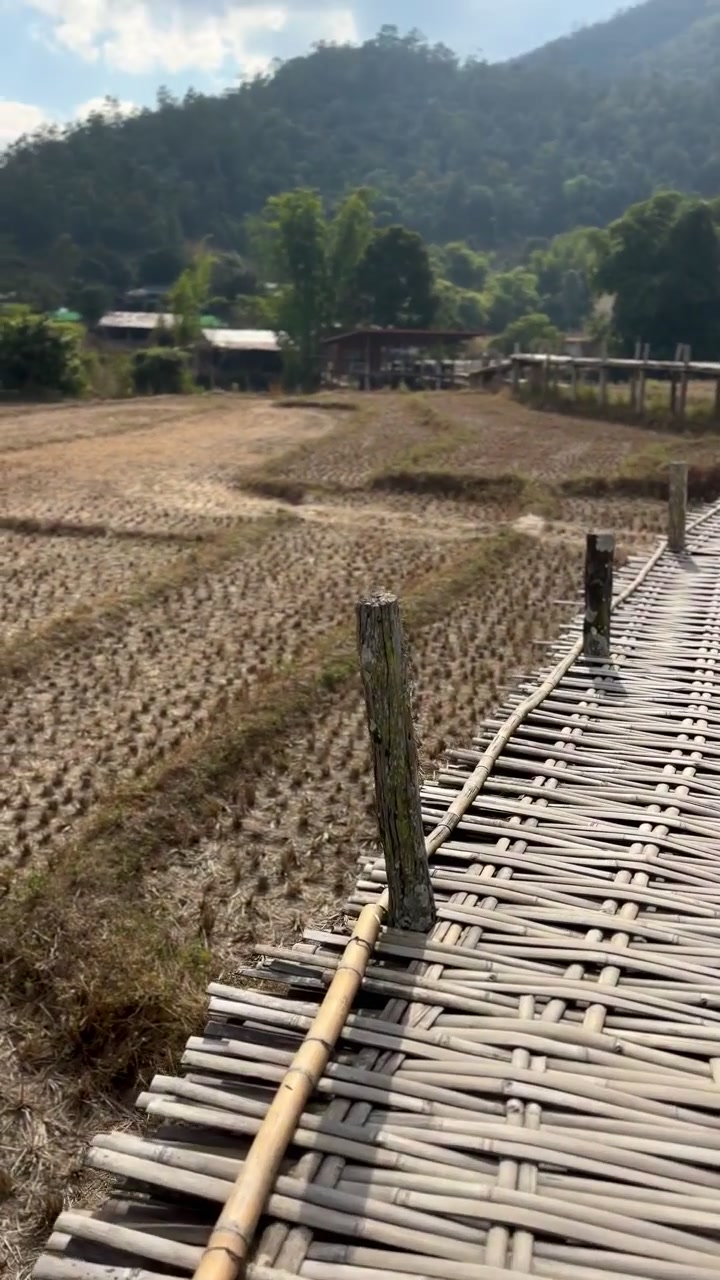 Bamboo walkway crossing dry rice fields in Mae Hi valley near Pai Thailand. Rustic path leads toward rural farm structures beneath forested hills and trees.