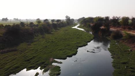 El-Agua-De-Los-Desechos-De-La-Fábrica-Se-Abre-Camino-Y-Cruza-Los-Campos-Cerca-De-La-Carretera