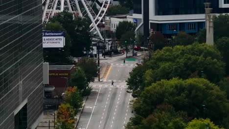 pedestrians crossing road