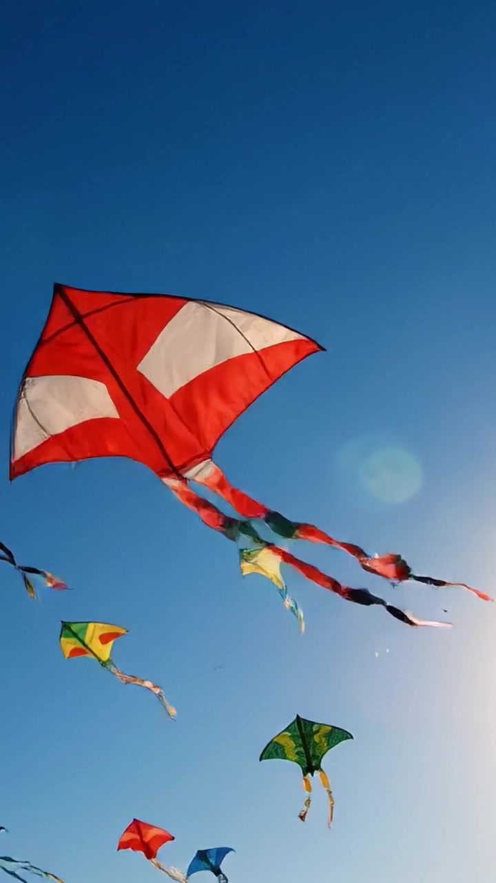 Aquiloni colorati che danzano in un cielo azzurro limpido di giorno: uno spettacolo accattivante di libertà e gioia mentre si librano in alto e creano un'esperienza visiva mozzafiato.