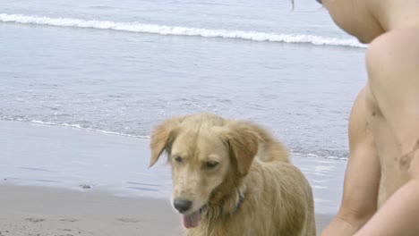 family and dog playing with sand at ocean beach