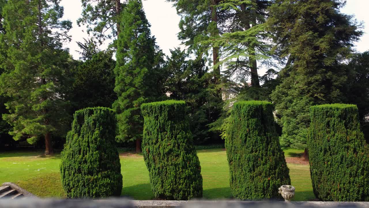Static view of neatly trimmed green bushes in a landscaped garden with large trees and grass in the background in Bradford-on-Avon, UK