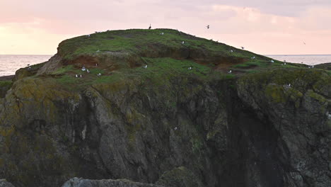 Birds-on-sea-stack-near-Bandon-city,-Coos-County,-Oregon