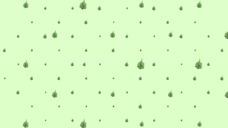 footage, christmas tree pine moves on a green background, with space for text to place a logo or copy.