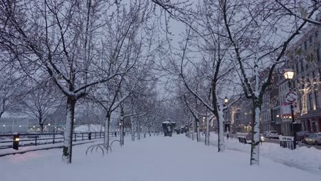 empty snow path between trees