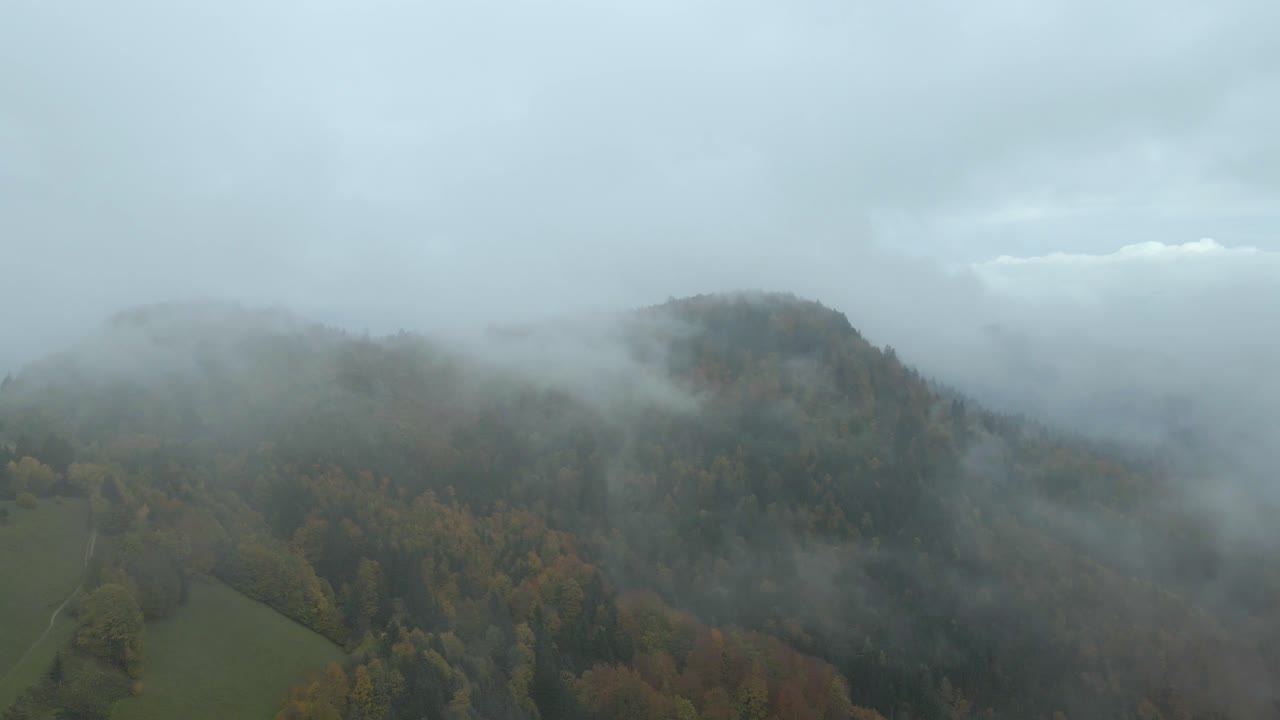 가을 에 안개 가 가득 한 산 숲