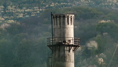 torre de enfriamiento de agua industrial en rumania 4